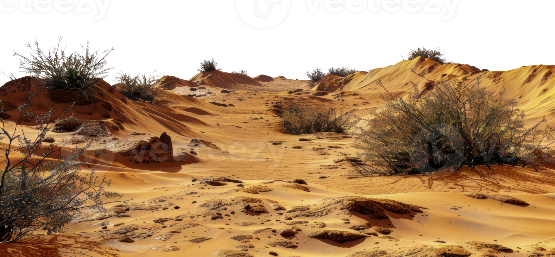 Sandy desert landscape with sparse vegetation, cut out - stock png. png