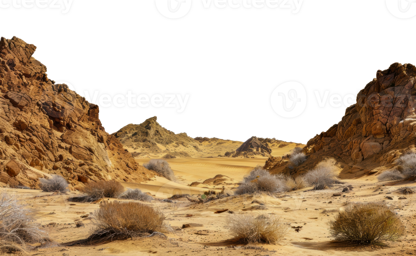 Desert landscape with rocky cliffs and sparse vegetation in the sahara desert, cut out - stock png. png
