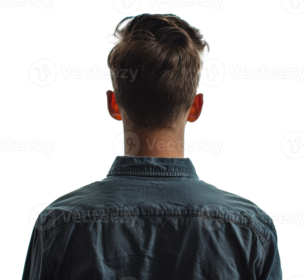 Rear view of man with short brown hair wearing a blue button-down shirt, cut out - stock png. png