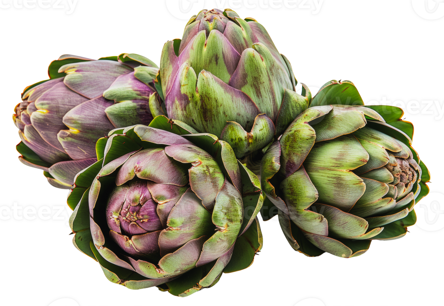 Close-up of freshly steamed artichokes, cut out - stock png. png