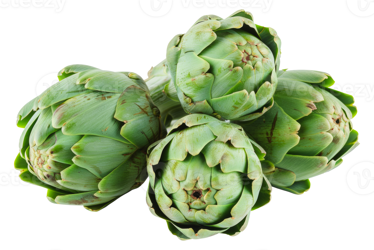 Four steamed artichokes, cut out - stock png. png