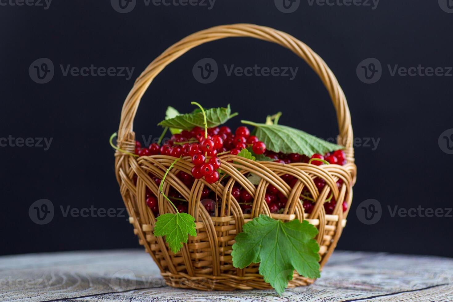 twigs of ripe red currants, isolated on a black background photo