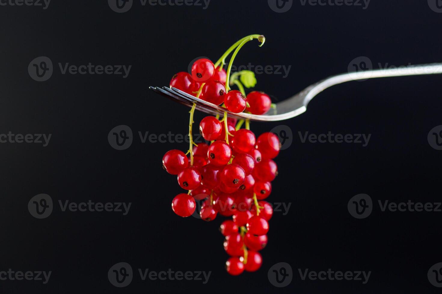 twigs of ripe red currants, isolated on a black background photo