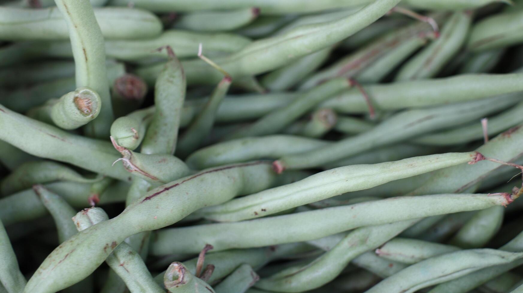 green beans on the market in containers photo