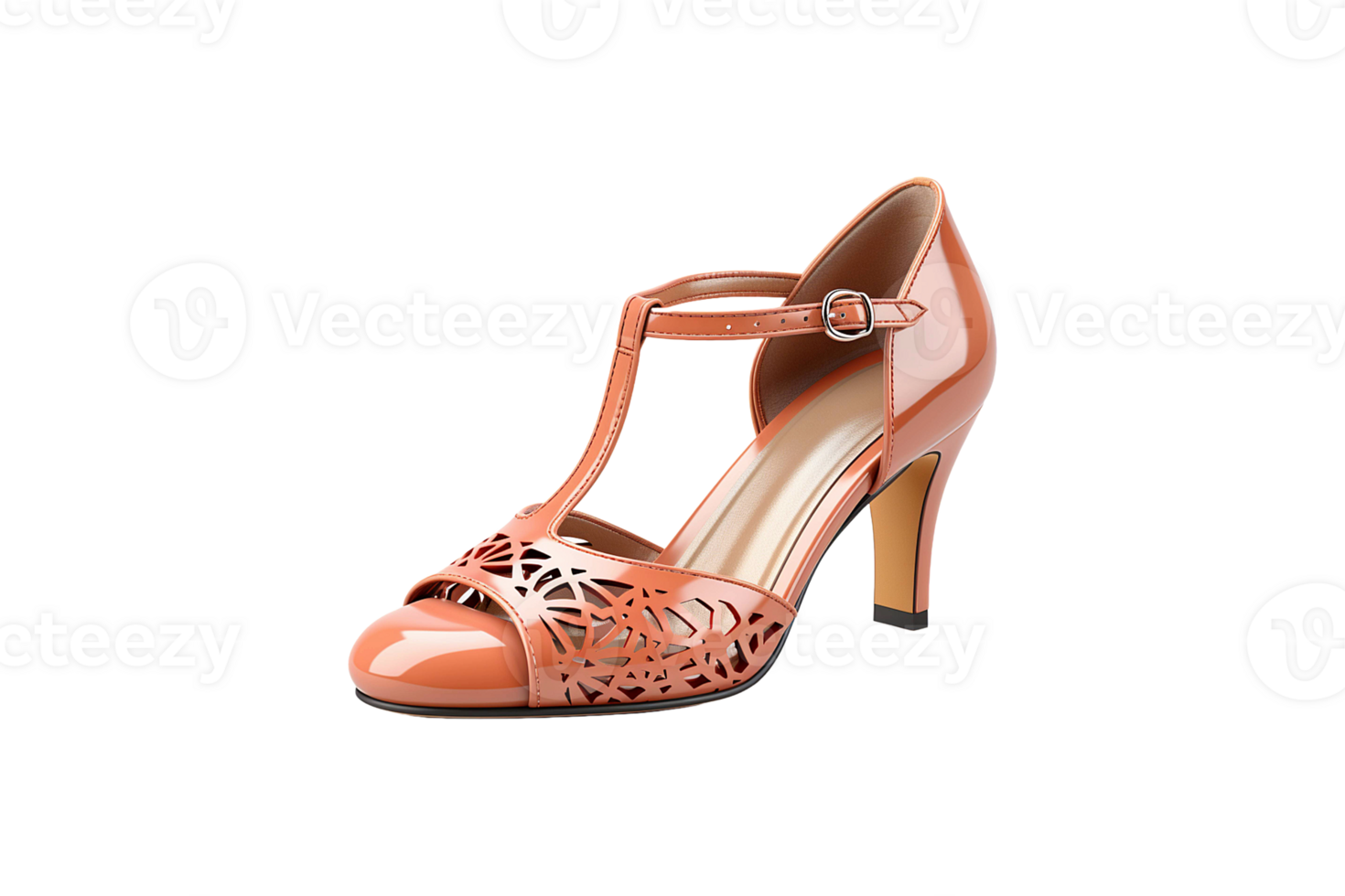 Casual Ladies Footwear isolated on transparent background. png