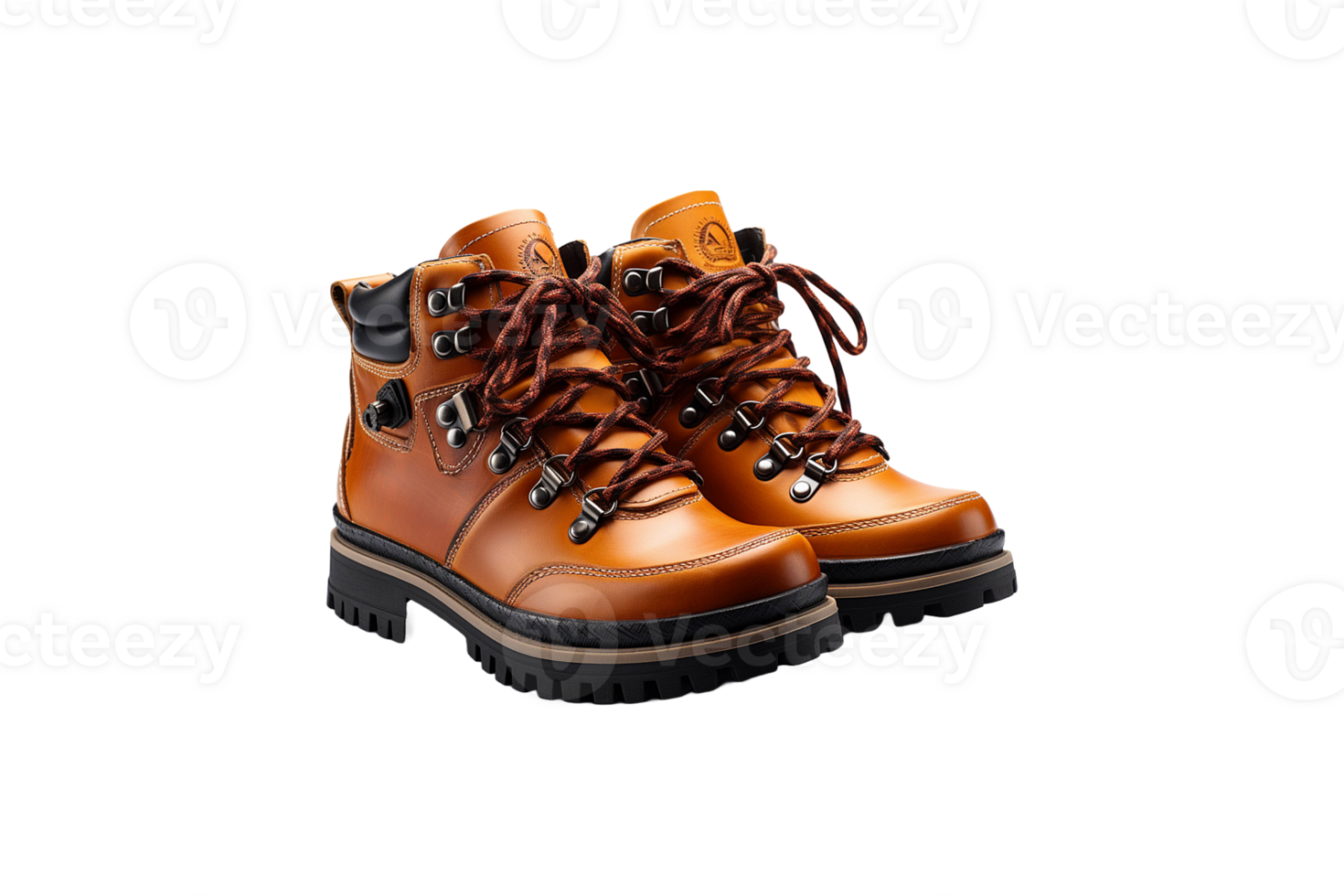 Casual Boot isolated on transparent background. png
