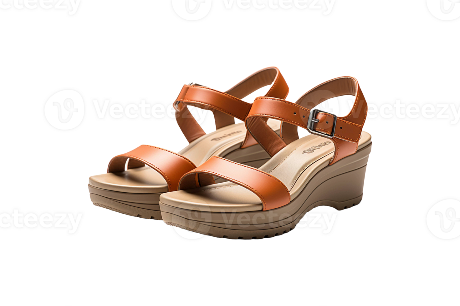 Casual Ladies Footwear isolated on transparent background. png