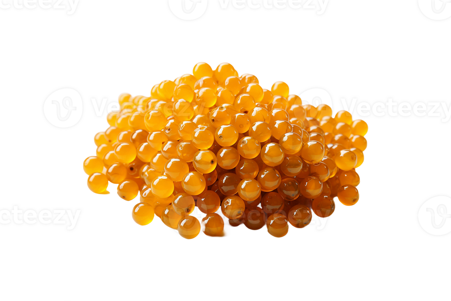Caviar Bead isolated on transparent background. png