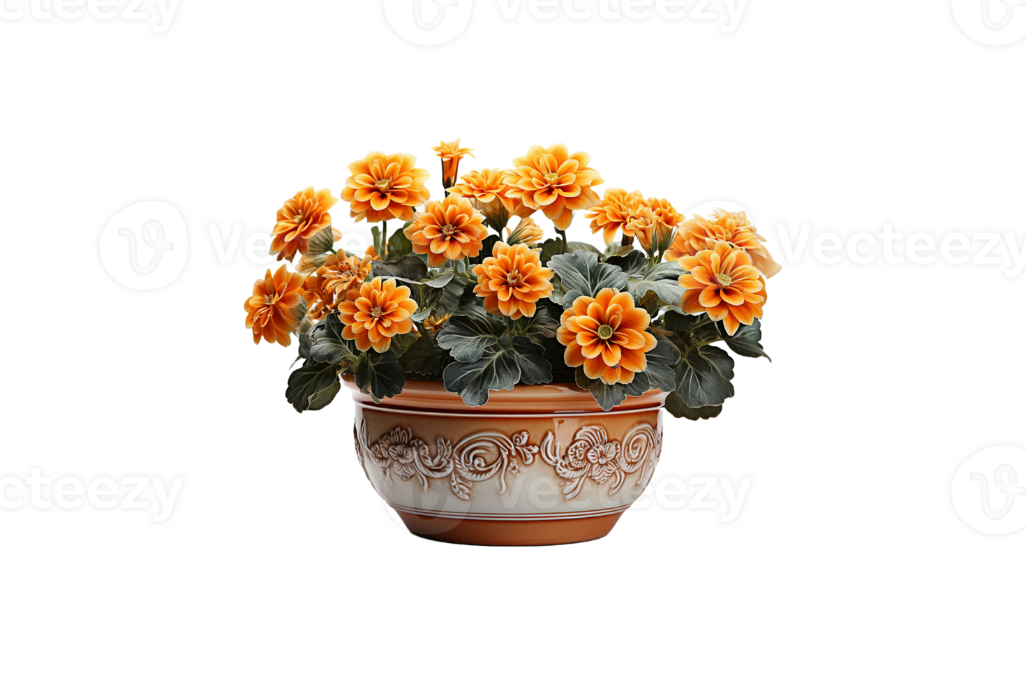 Ceramic Flower Pot isolated on transparent background. png