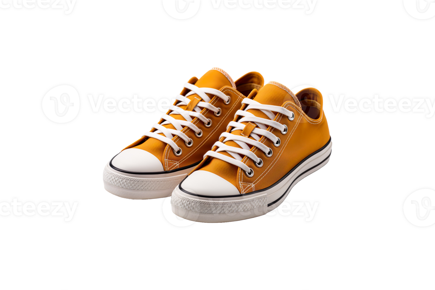 Cloth Shoes isolated on transparent background. png