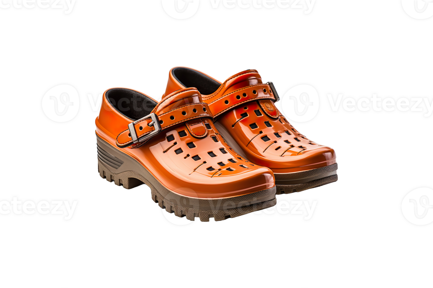 Clog Shoes isolated on transparent background. png
