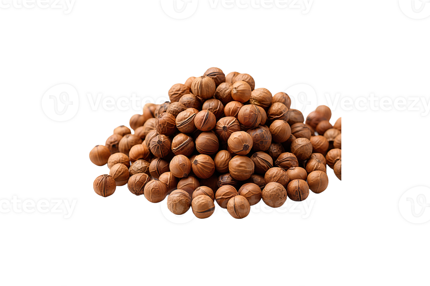 Coriander Seed isolated on transparent background. png