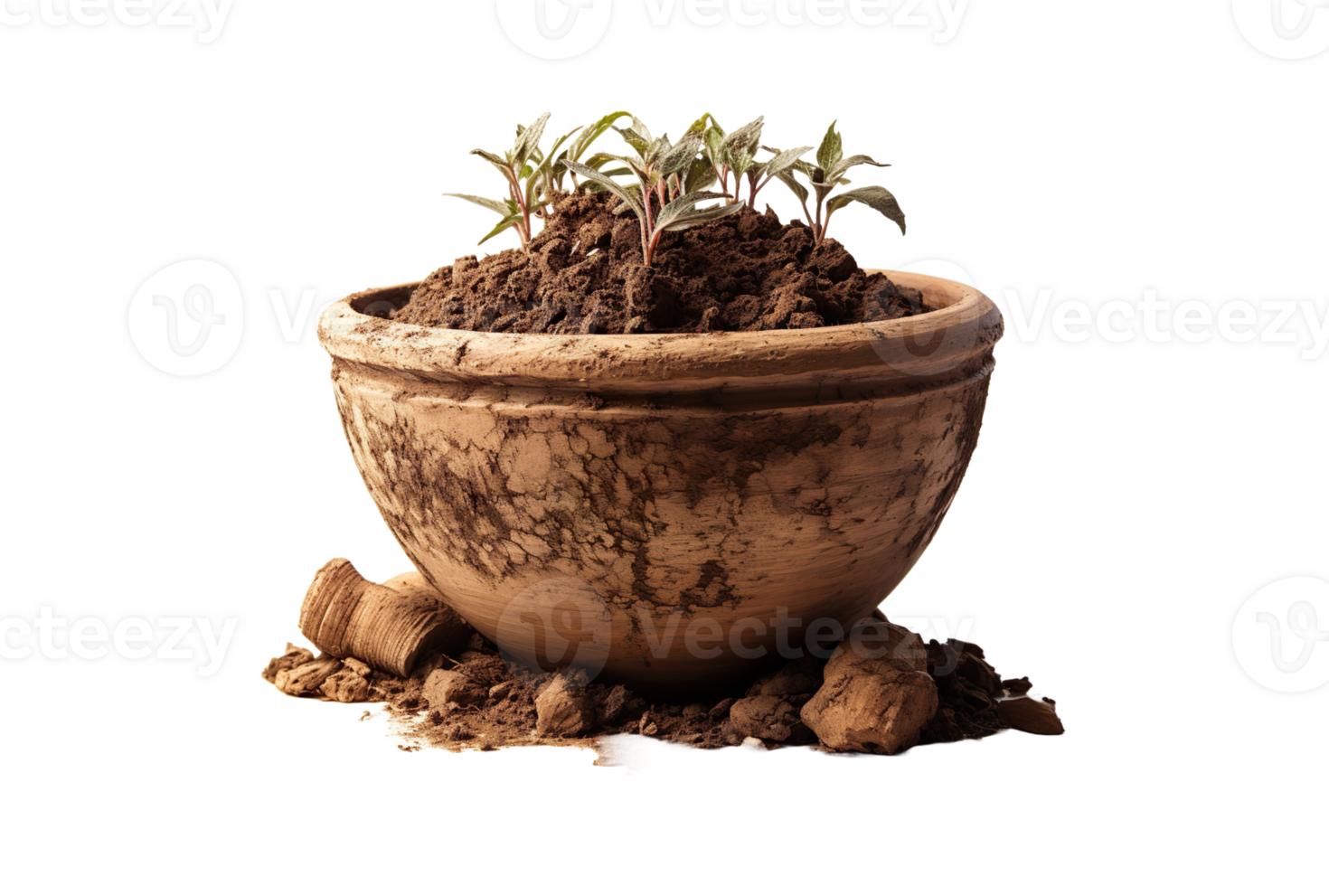 Cow Dung Pot isolated on transparent background. png