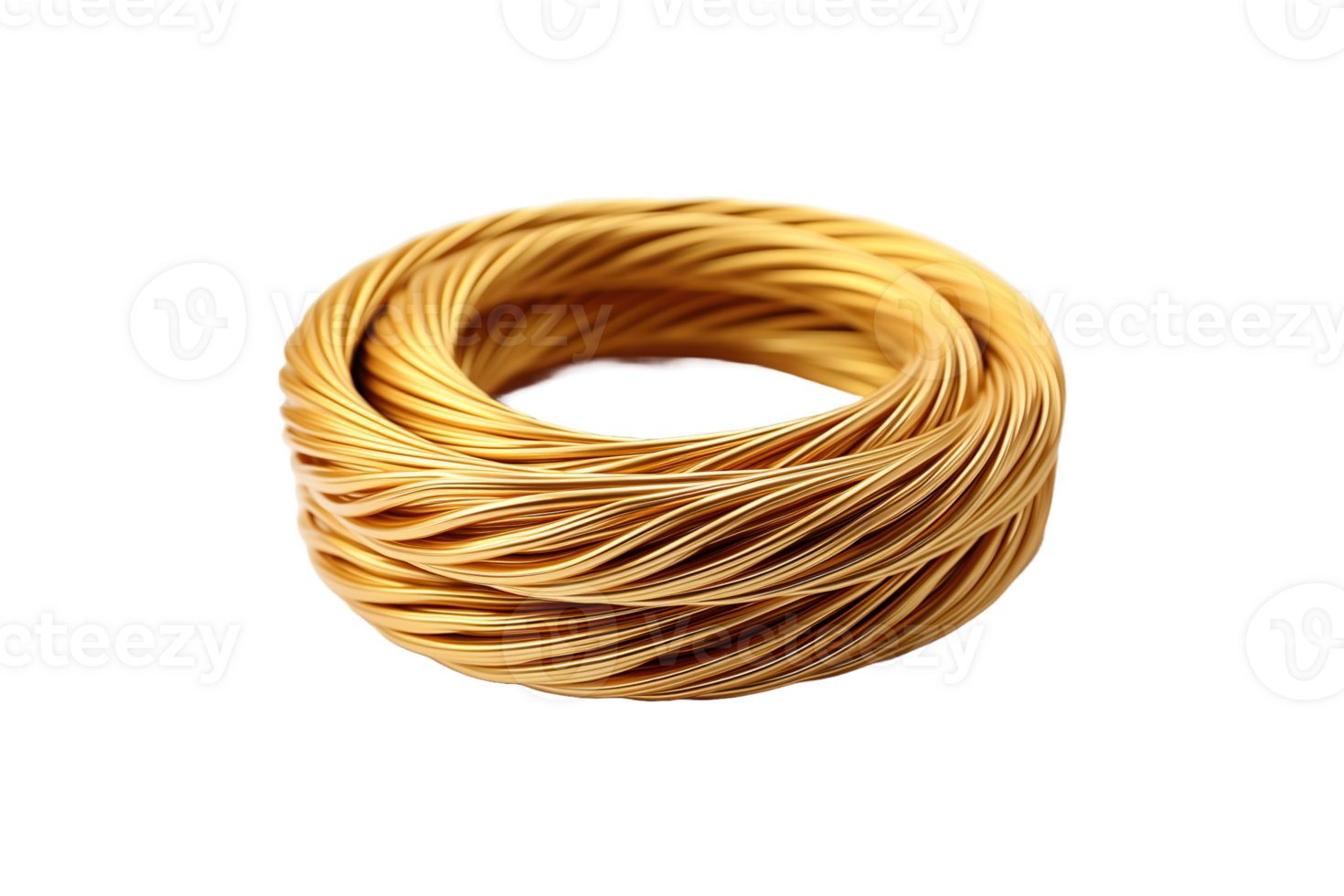 Coil Mat isolated on transparent background. png