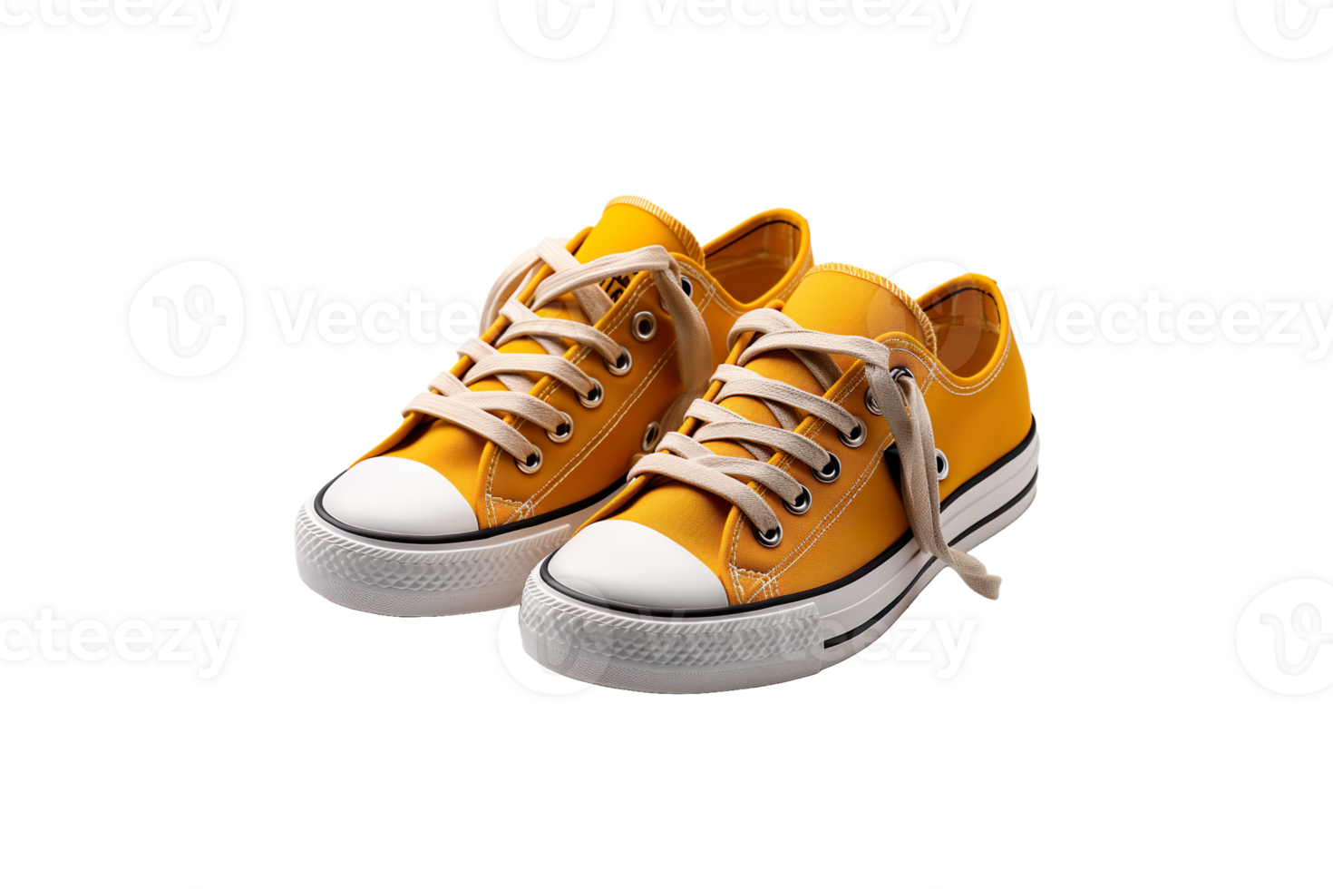 Cloth Shoes isolated on transparent background. png