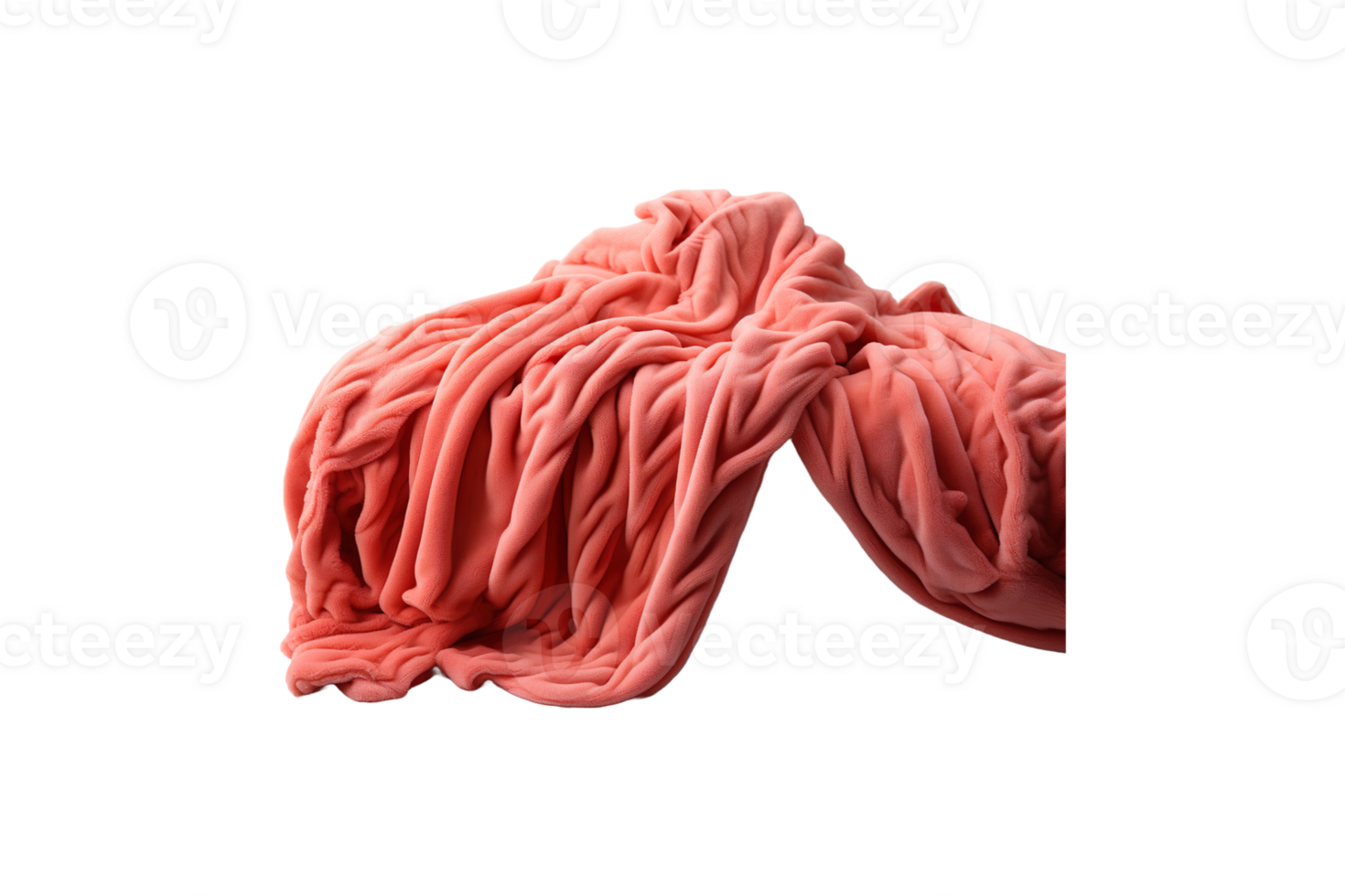 Coral Blanket isolated on transparent background. png
