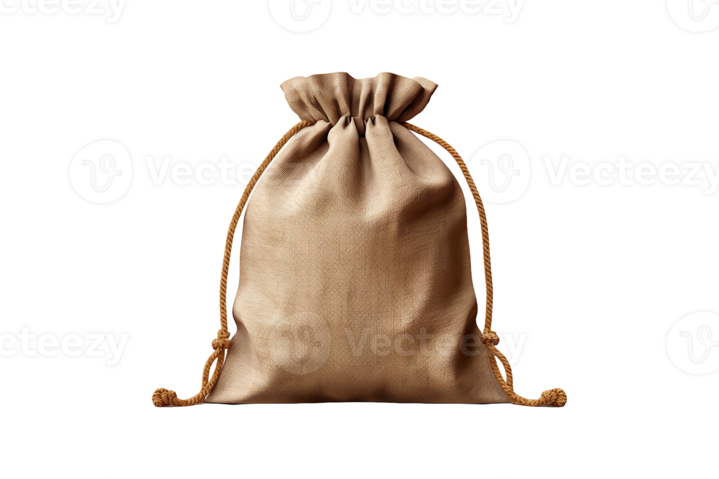 Cotton Canvas Bag isolated on transparent background. png