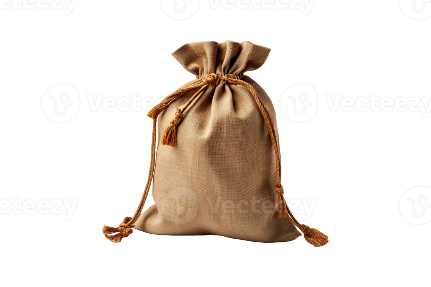 Cotton Canvas Bag isolated on transparent background. png