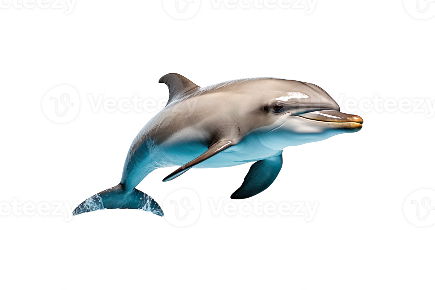 Dolphin Figurine isolated on transparent background. png