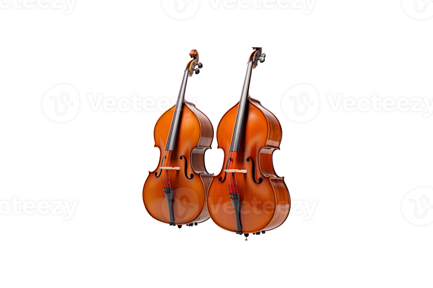 double basses isolé sur transparent Contexte. png