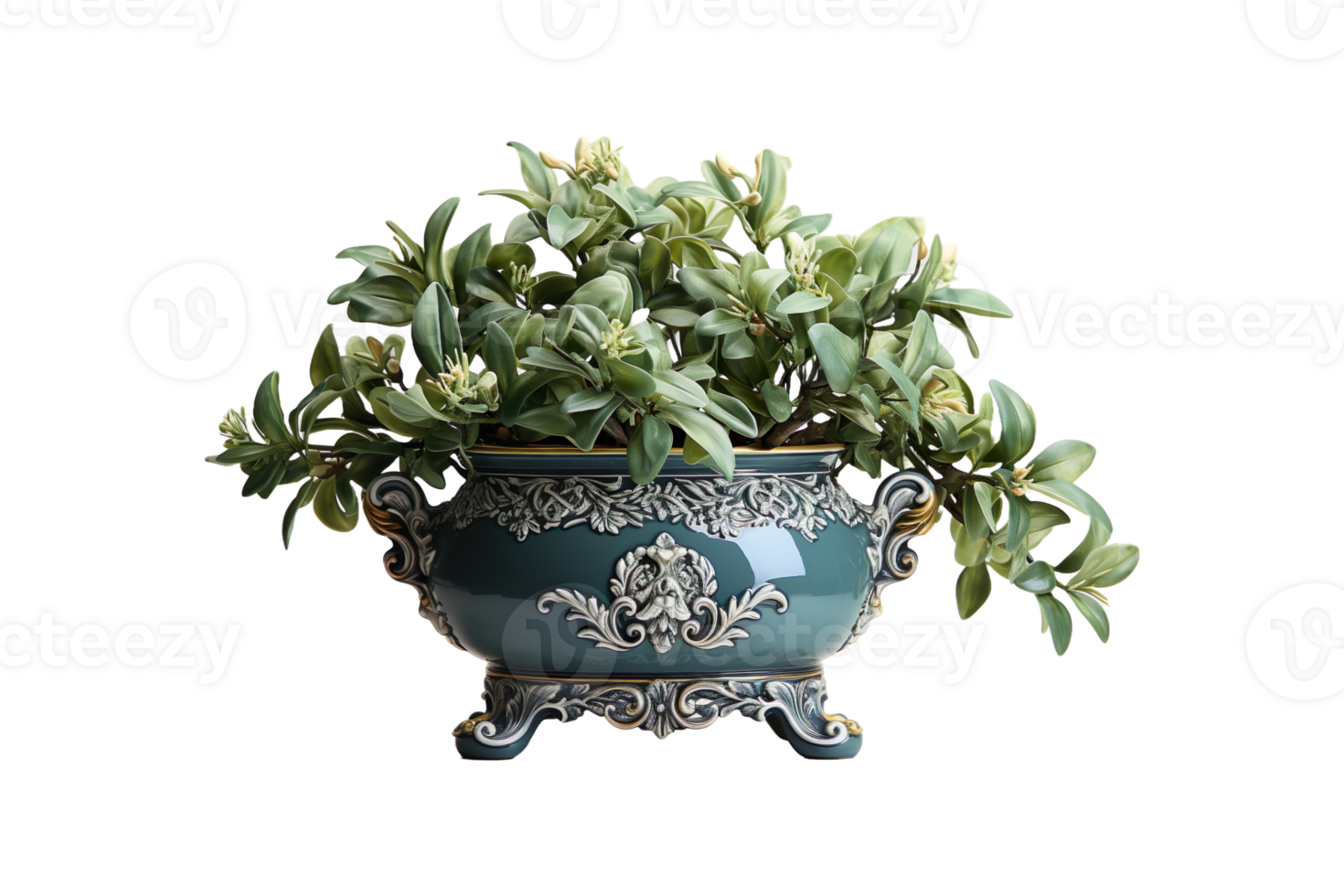 Decorative Planter isolated on transparent background. png