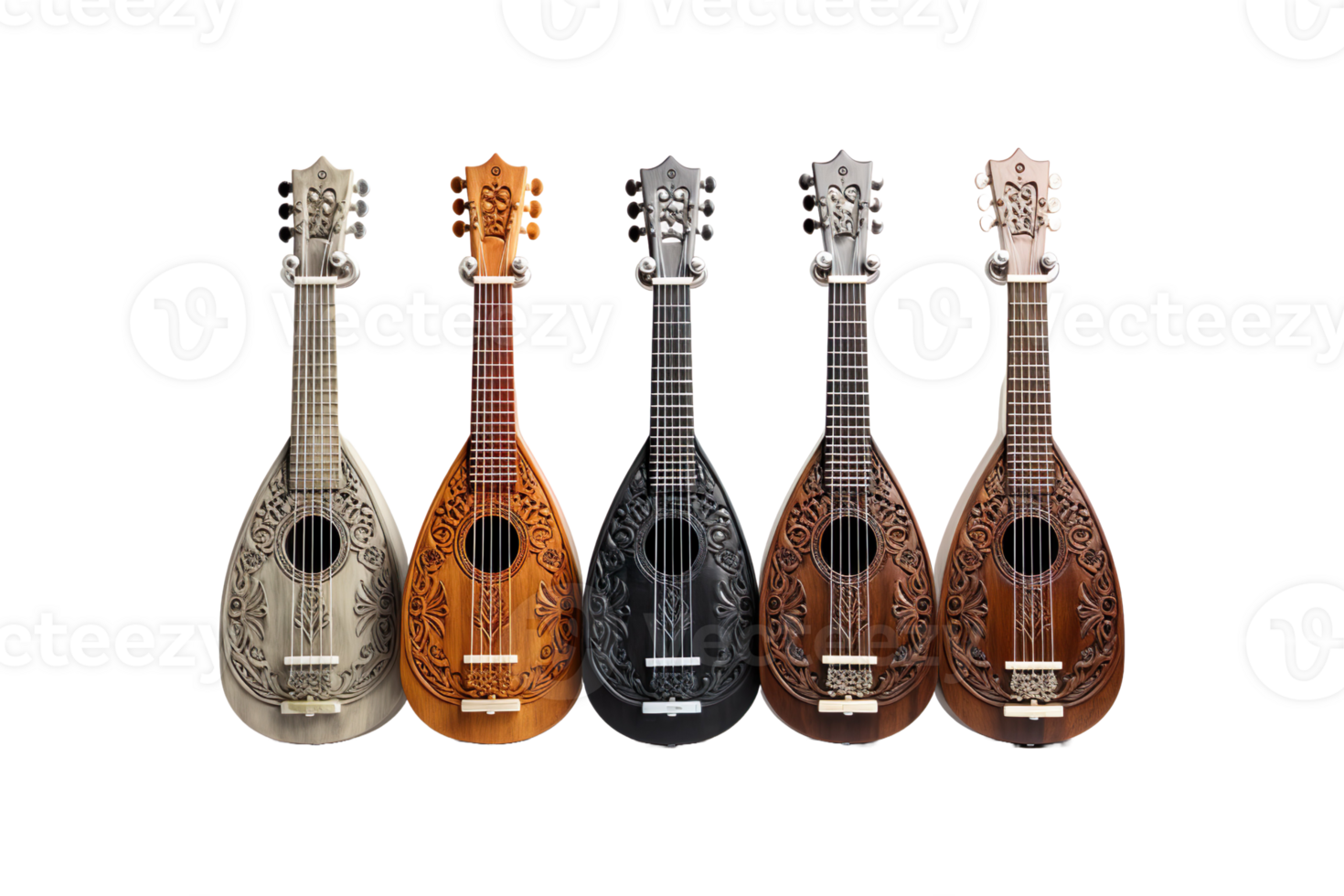 Dilruba Instruments isolated on transparent background. png