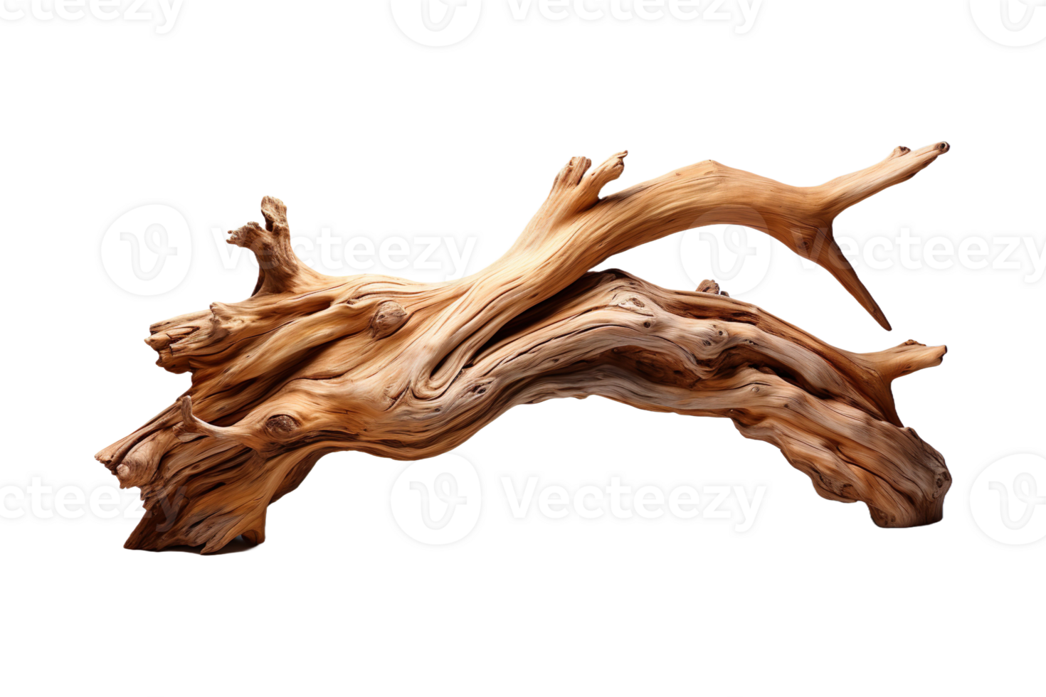 Driftwood Sculptures isolated on transparent background. png