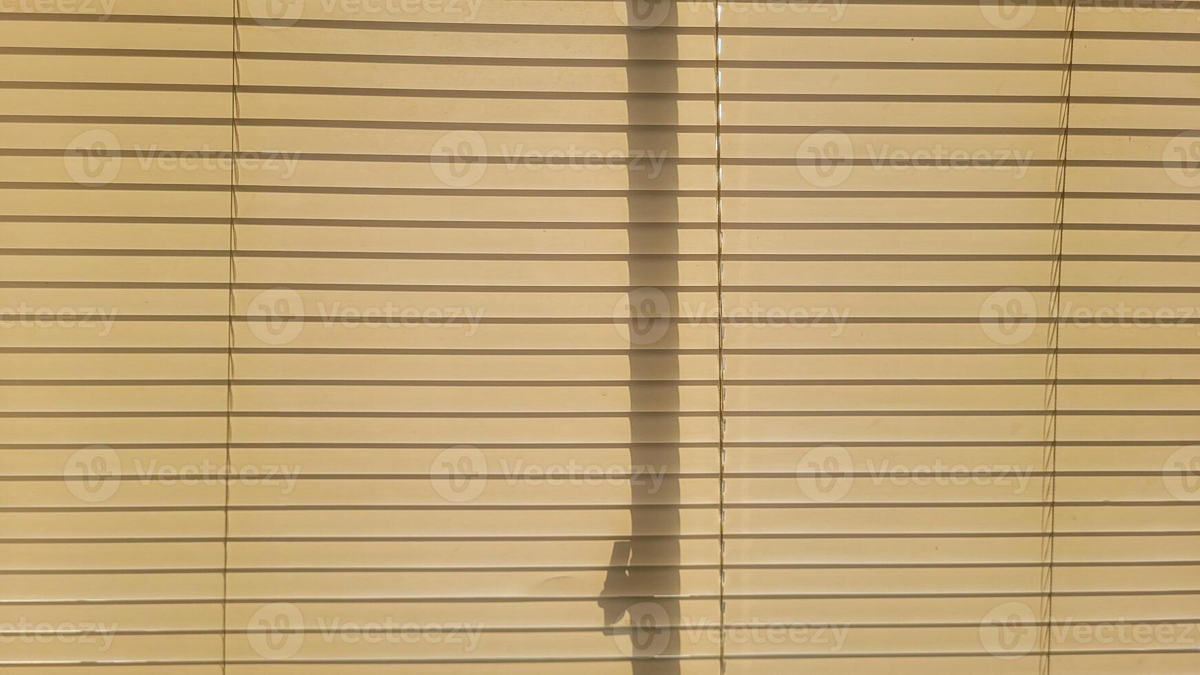 window with closed shutter on a sunny day photo