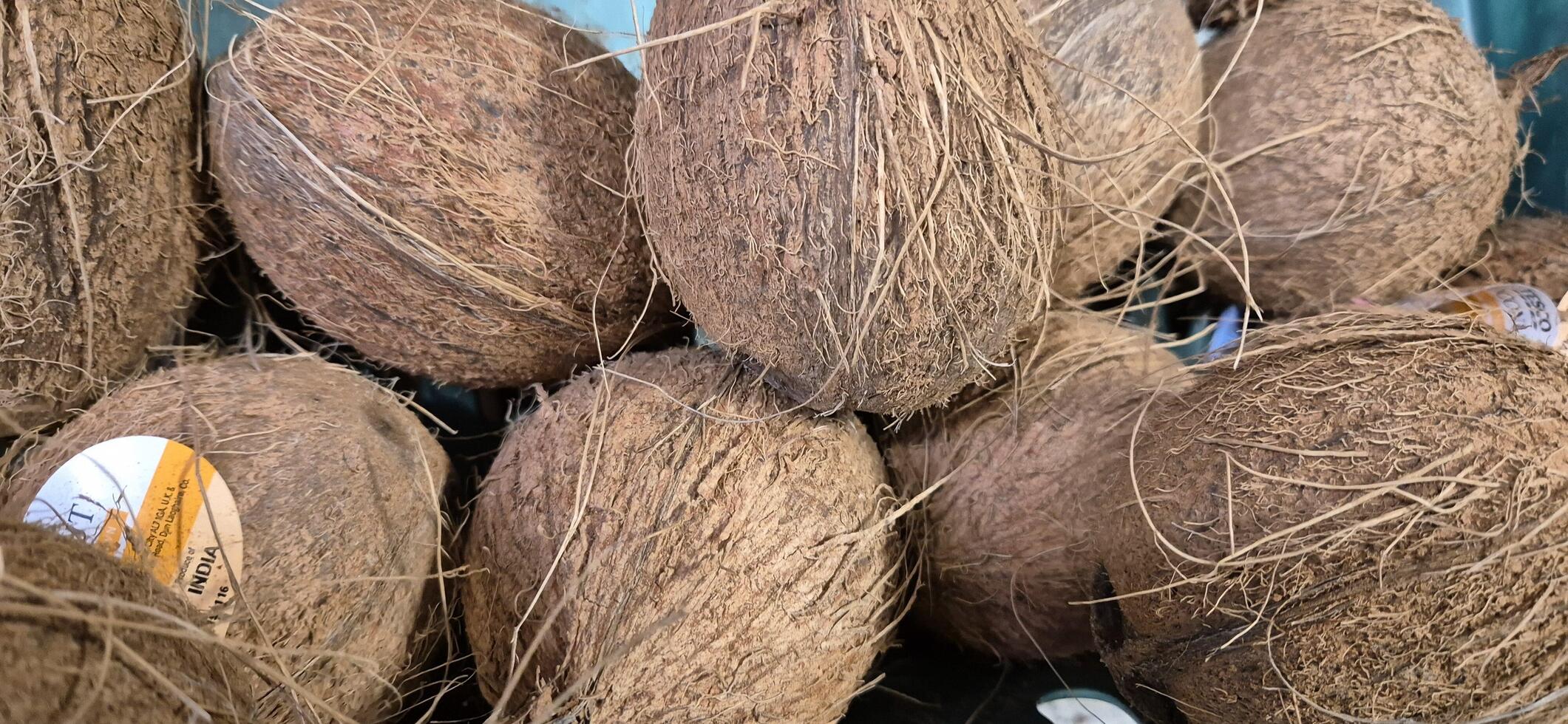 Group of Coconuts in Market photo