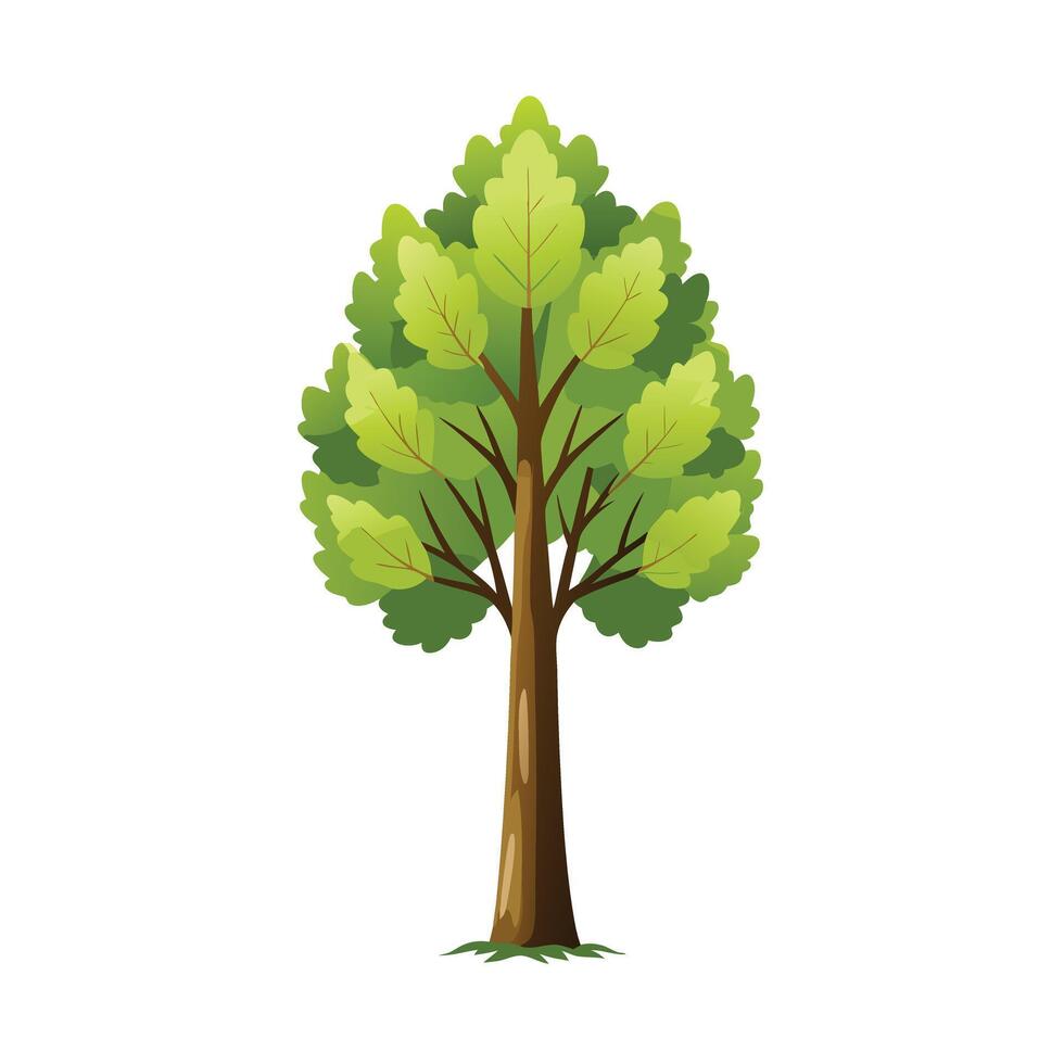 Beautiful Single Big Tree Illustration vector