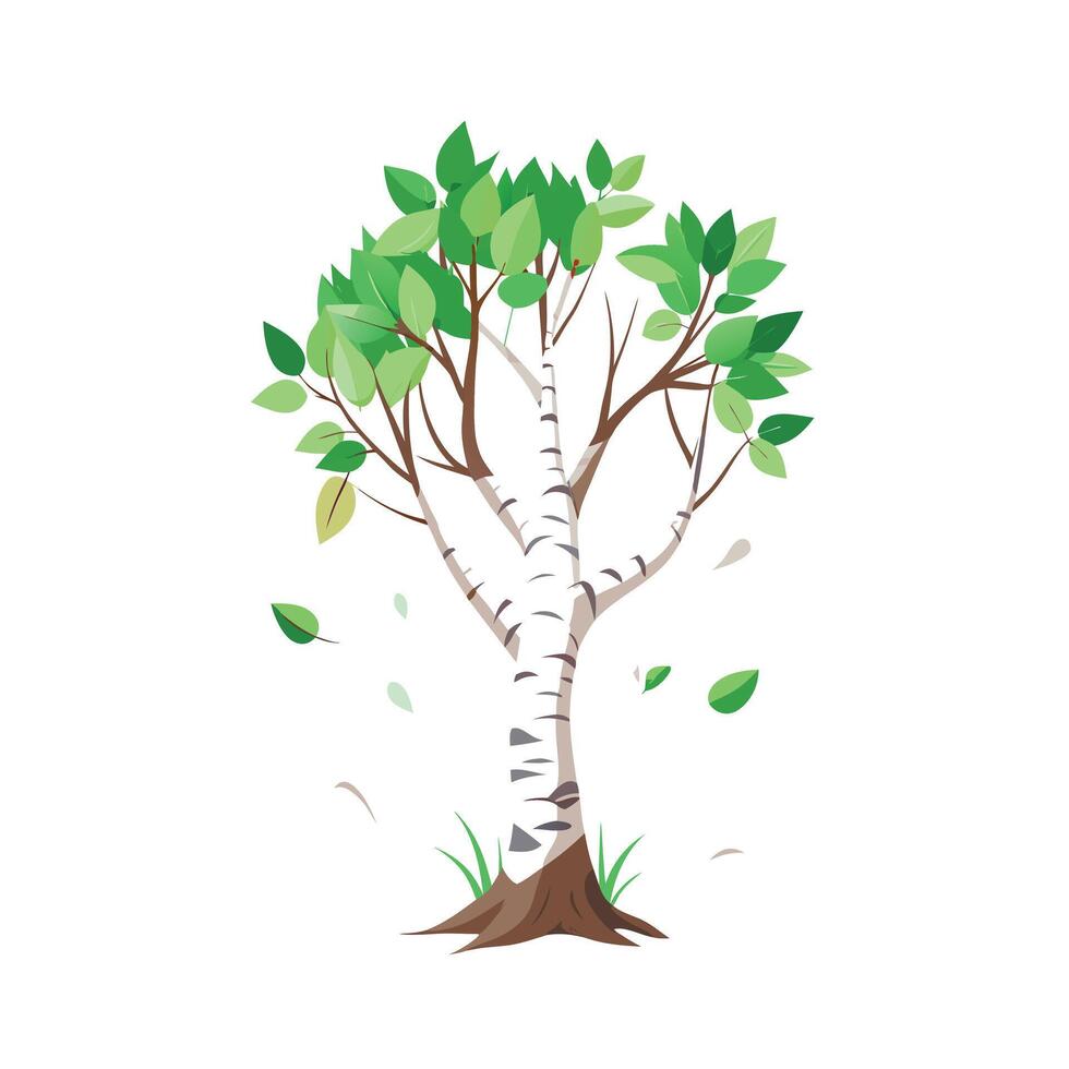 Beautiful Single Big Tree Illustration vector