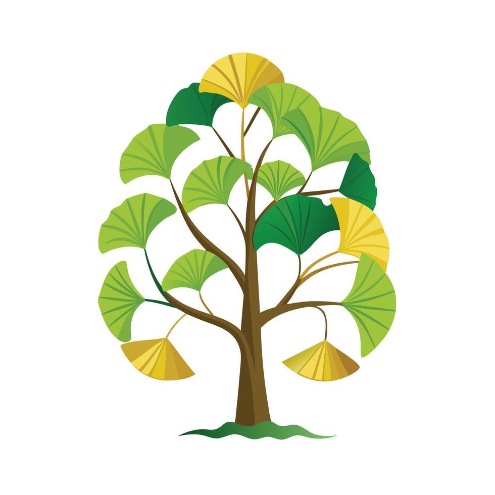 Beautiful Single Big Tree Illustration vector