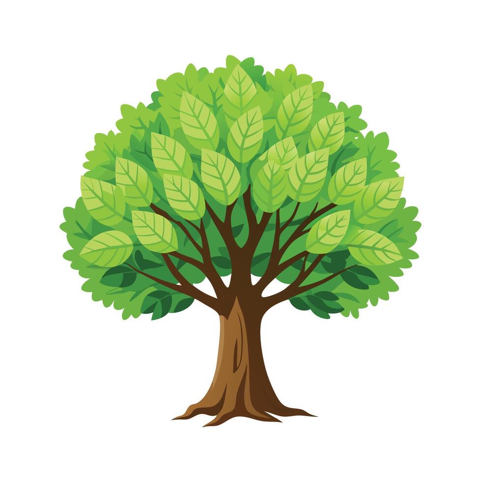 Beautiful Single Big Tree Illustration vector