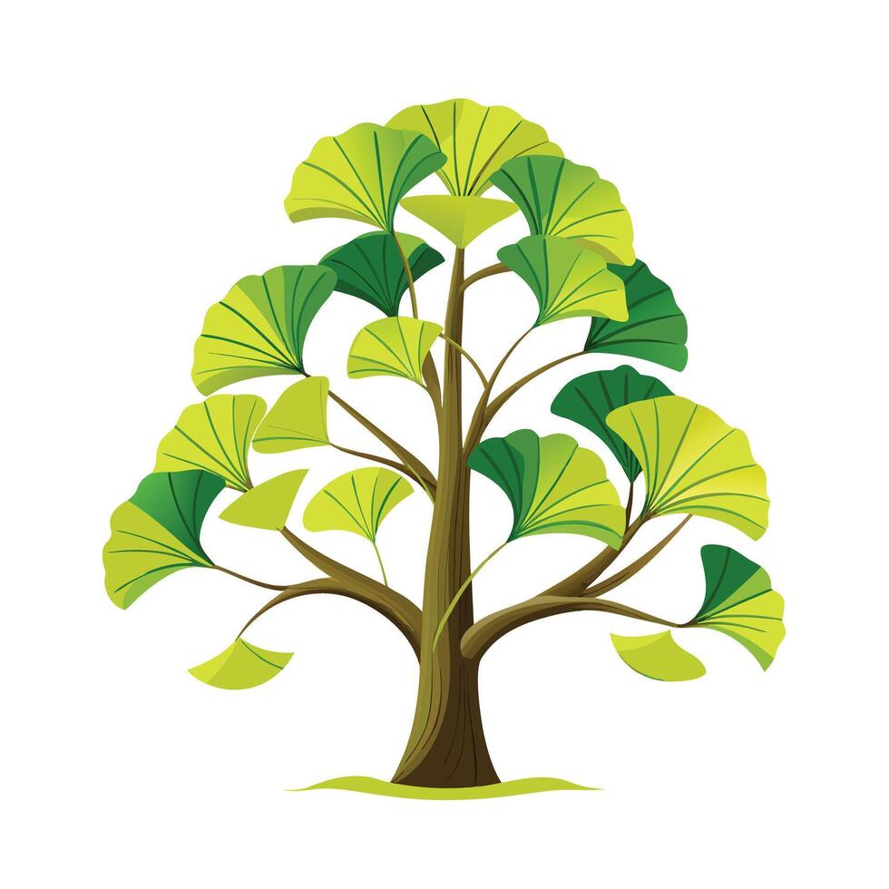 Beautiful Single Big Tree Illustration vector