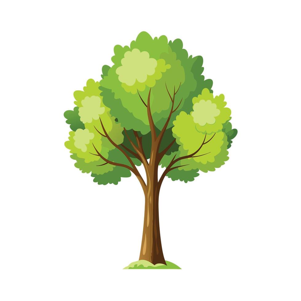 Beautiful Single Big Tree Illustration vector