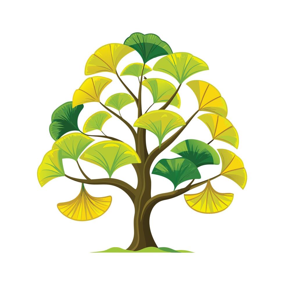 Beautiful Single Big Tree Illustration vector