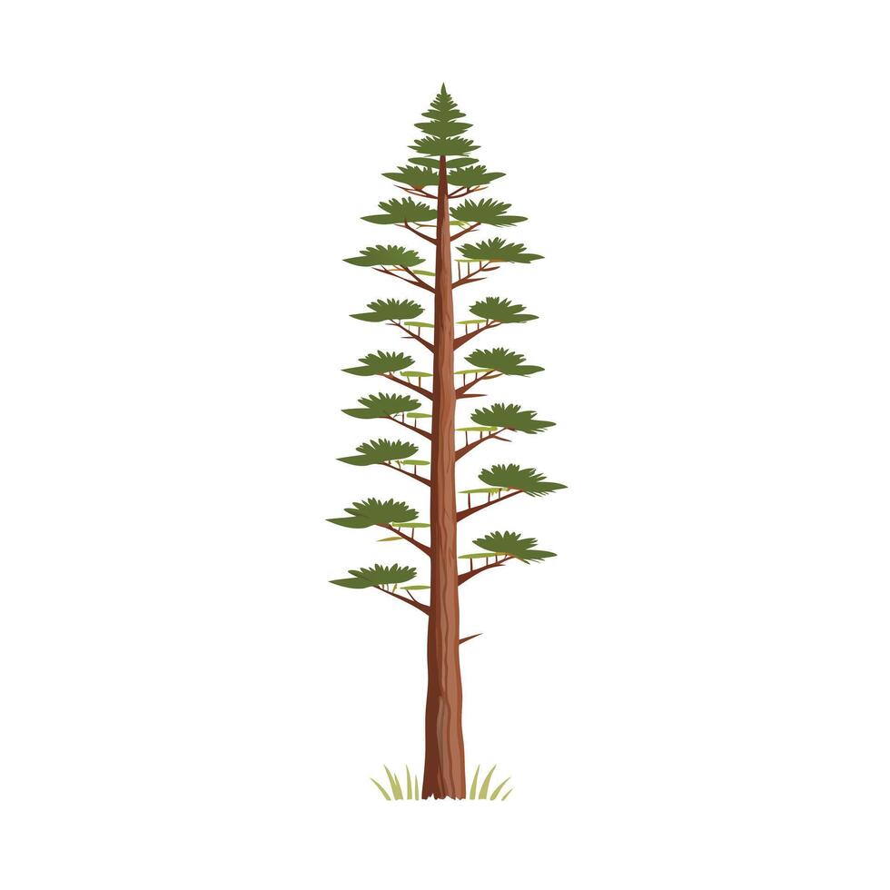 Beautiful Single Big Tree Illustration vector