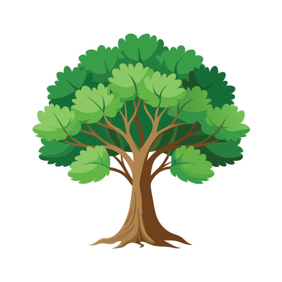 Beautiful Single Big Tree Illustration vector