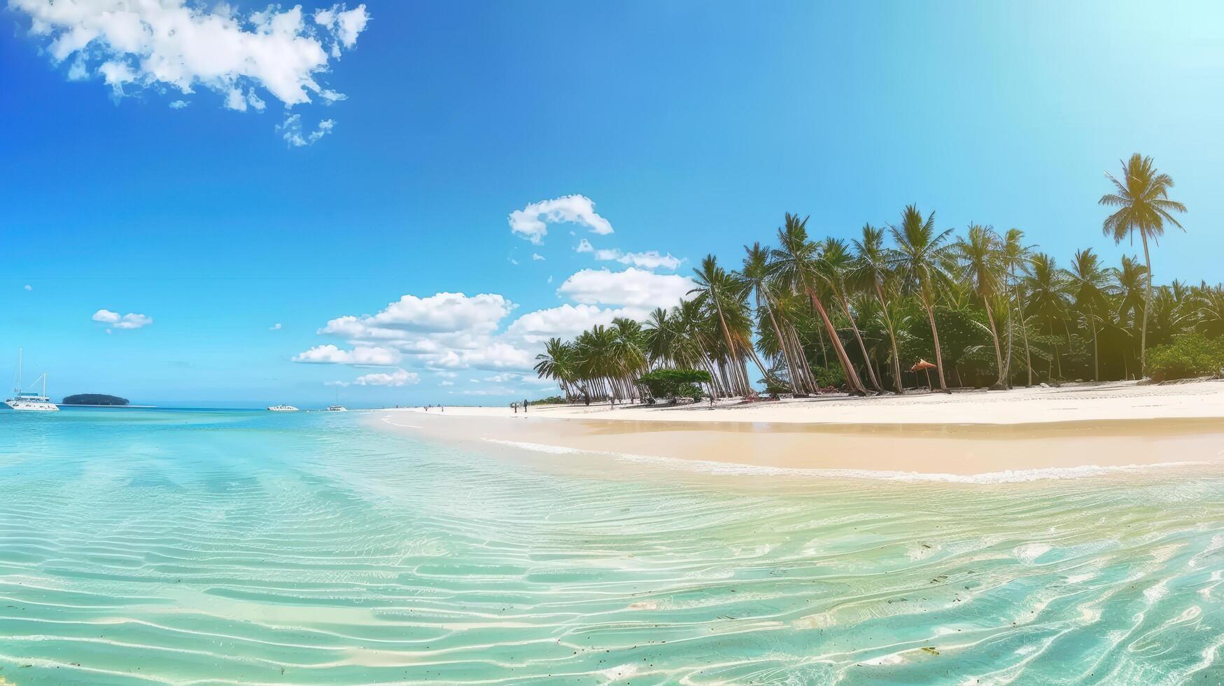 A beautiful tropical beach with palm trees and a clear blue sky, adding to its picturesque charm. This tranquil coastal setting evokes images of summer photo