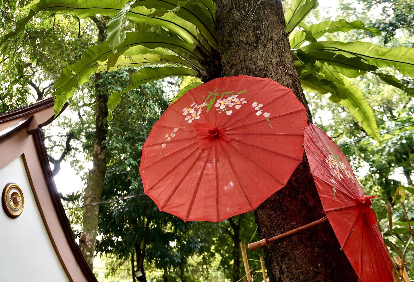Red chinese or japanese oriental umbrella decoration on tree trunk isolated on horizontal ratio building roof decoration and green leaves background. photo