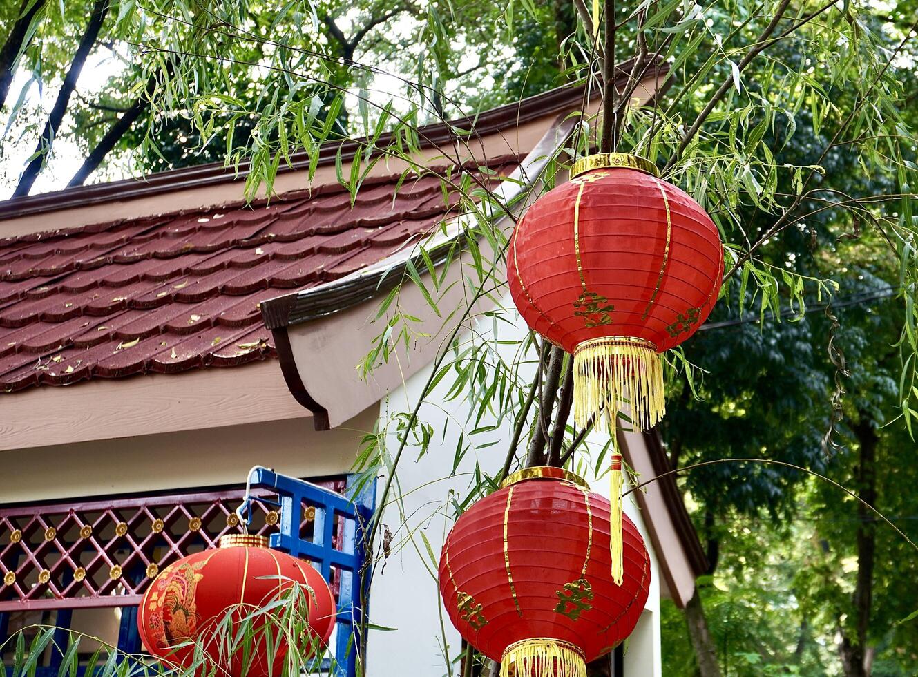 Red chinese lanterns or lamp hanging decoration isolated on horizontal home garden front building background with green tree leaves. photo