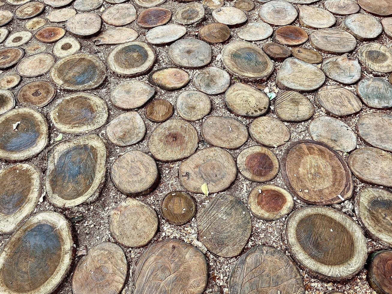 Brown round wooden stump cuts ground flooring pattern design isolated on full frame horizontal outdoor environment background. photo