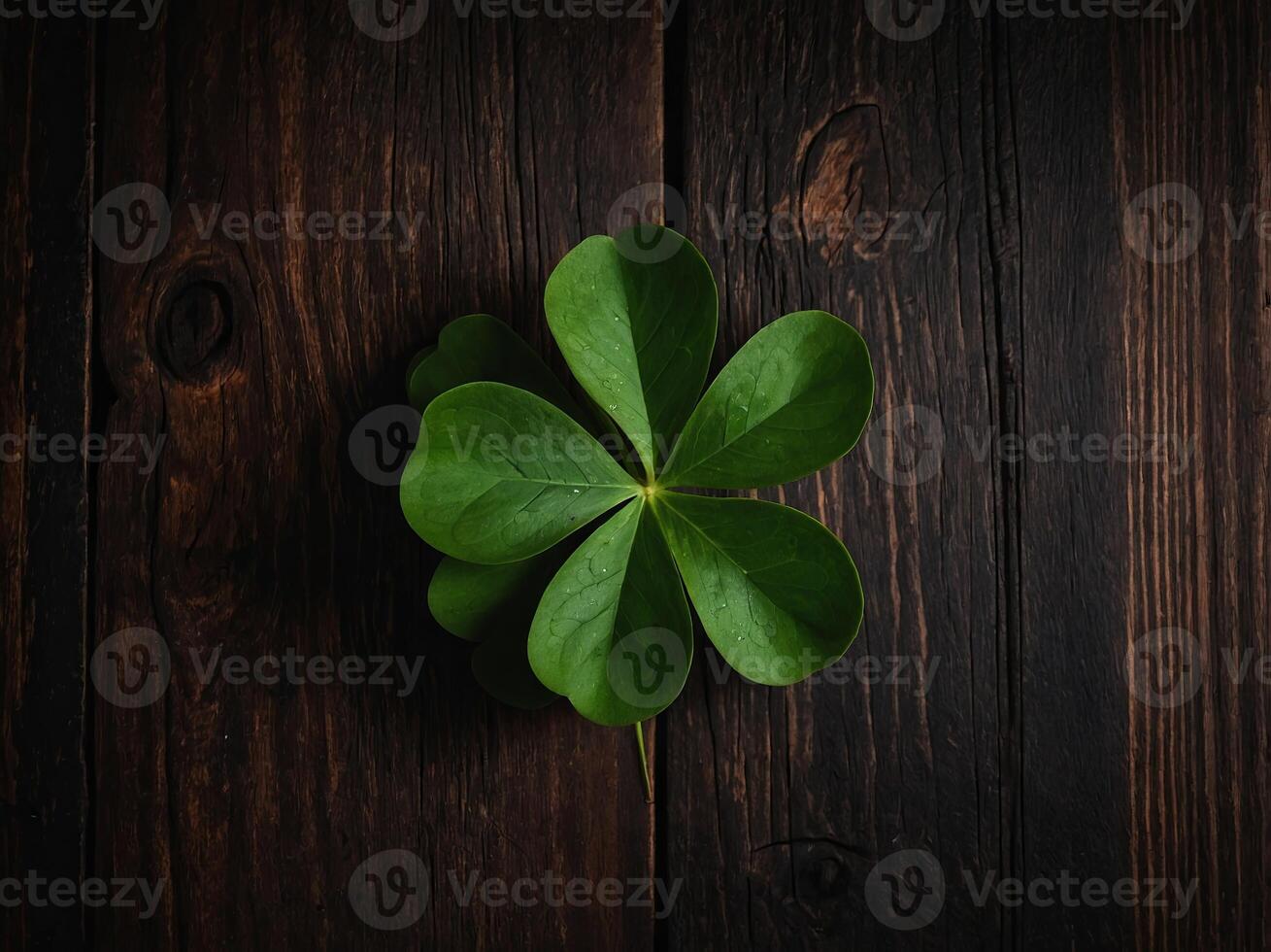 Shamrock leaves on dark wooden background with copy-space flat lay view. photo