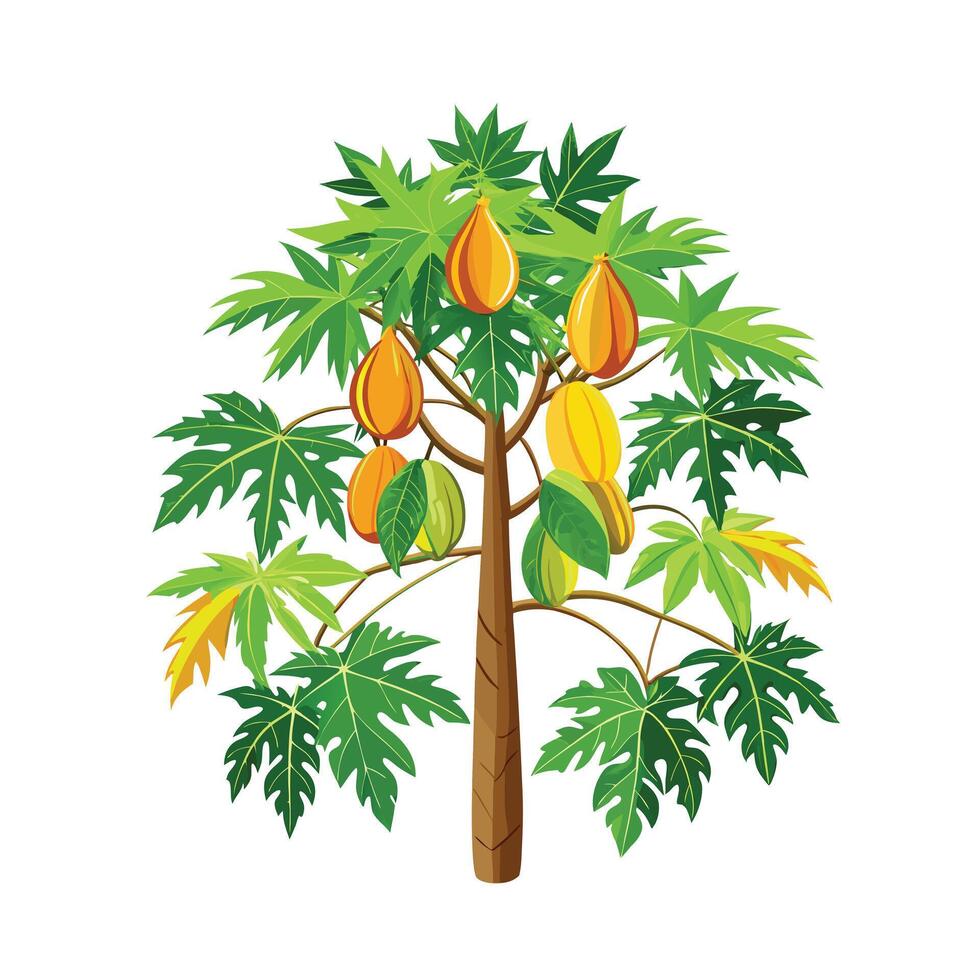 Beautiful Single Big Tree Illustration vector