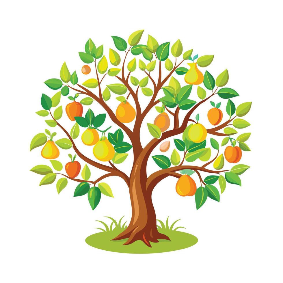 Beautiful Single Big Tree Illustration vector