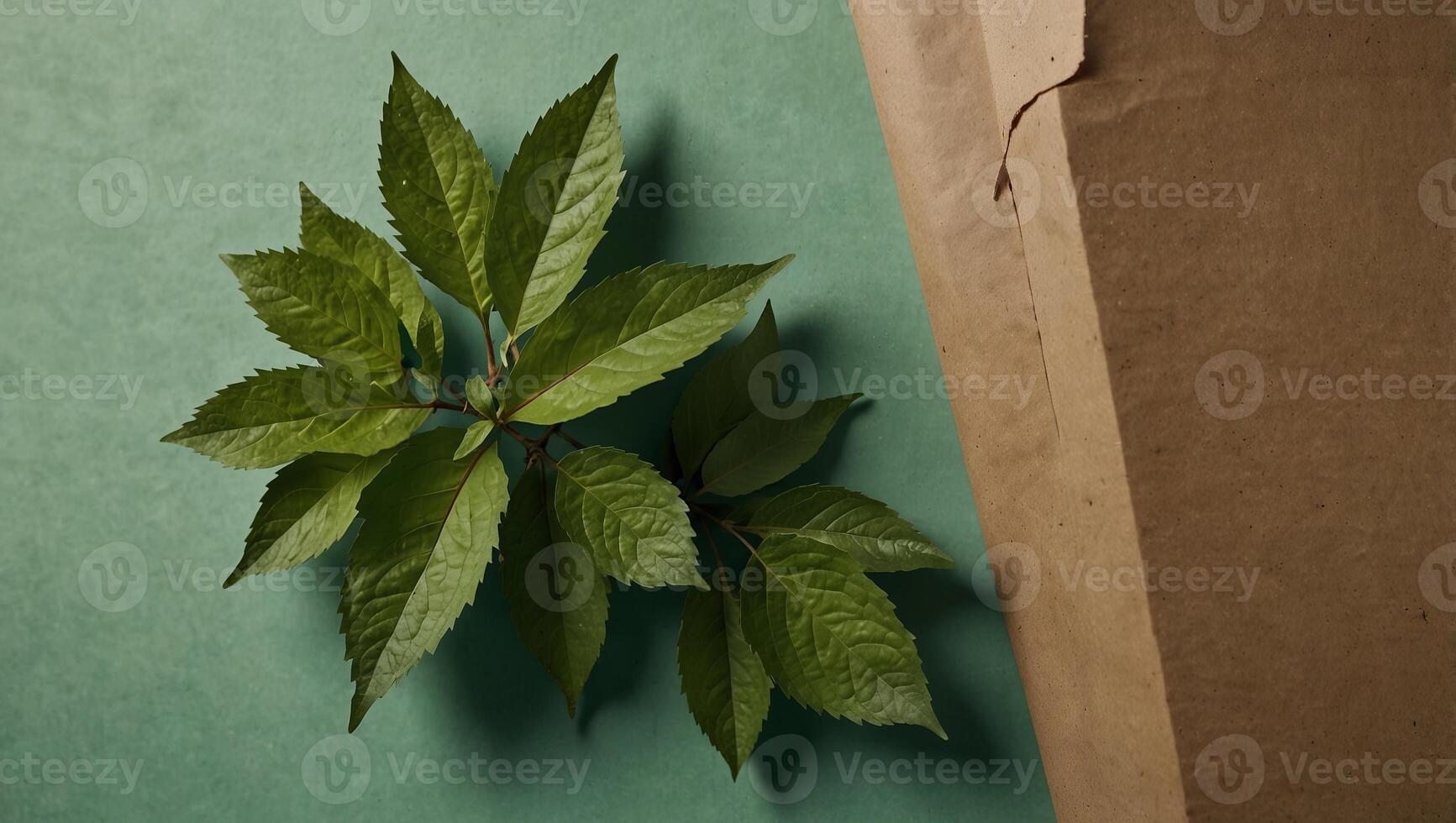 Craft paper with green leaves sprout top view Flat lay Zero waste, eco friendly, natural organic plastic free concept Earth, biodegradable with copy space on mint background. photo