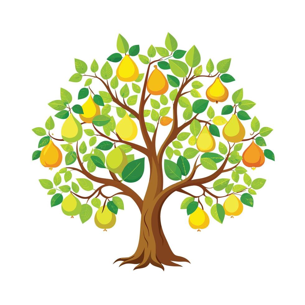 Beautiful Single Big Tree Illustration vector