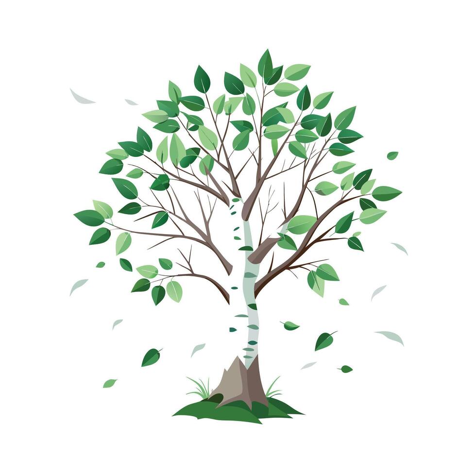 Beautiful Single Big Tree Illustration vector
