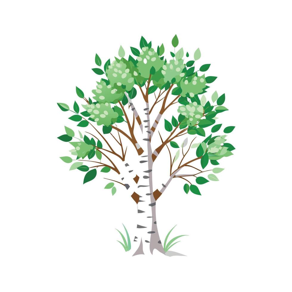 Beautiful Single Big Tree Illustration vector