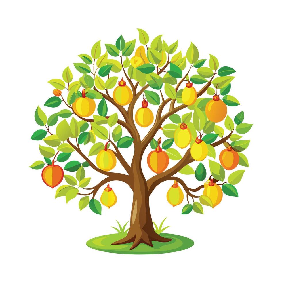 Beautiful Single Big Tree Illustration vector
